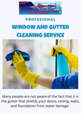 Get The Best Window And Gutter Cleaning Service