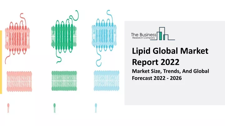 lipid global market report 2022 market size