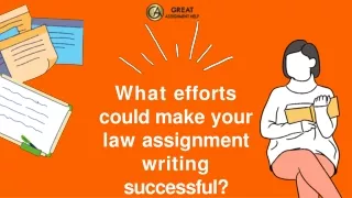what efforts could make your law assignment