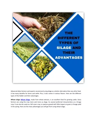the different types of silage and their advantages