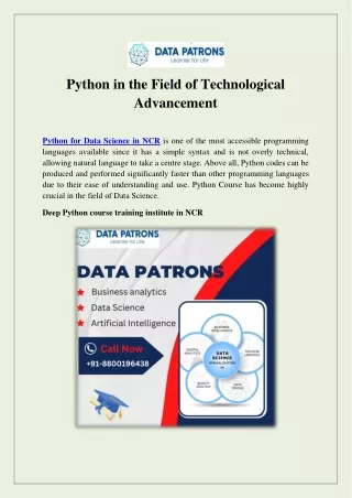 Python in the Field of Technological Advancement