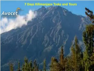 7 Days Kilimanjaro Treks and Tours