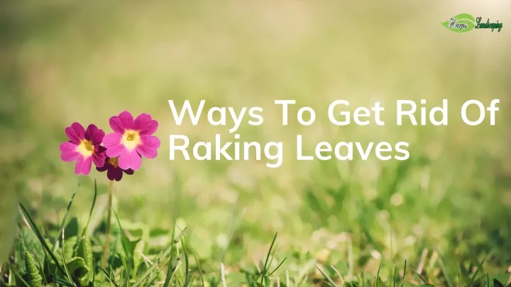 ways to get rid of raking leaves