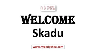 Welcome Skadu