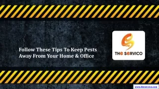 Follow These Tips To Keep Pests Away From Your Home & Office