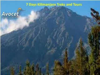 7 Days Kilimanjaro Treks and Tours