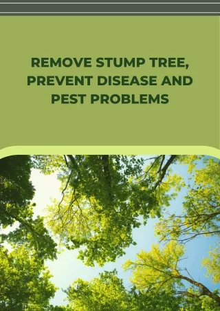 Remove Stump Tree, Prevent Disease and Pest Problems
