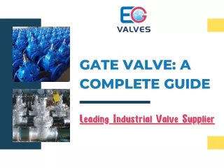 Gate Valve : A Complete Guide