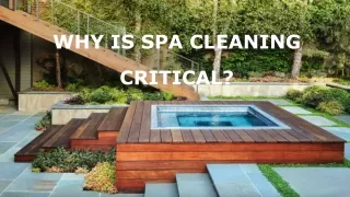 Why is Spa Cleaning Critical?