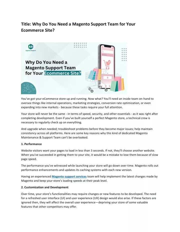 title why do you need a magento support team