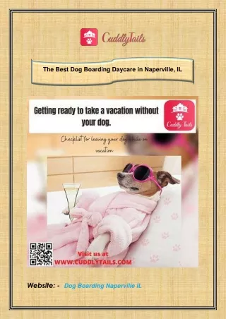 the best dog boarding daycare in naperville il