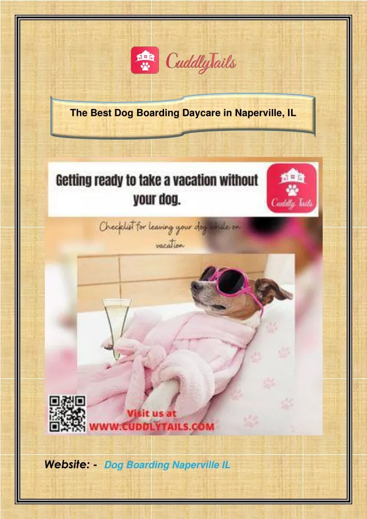 the best dog boarding daycare in naperville il