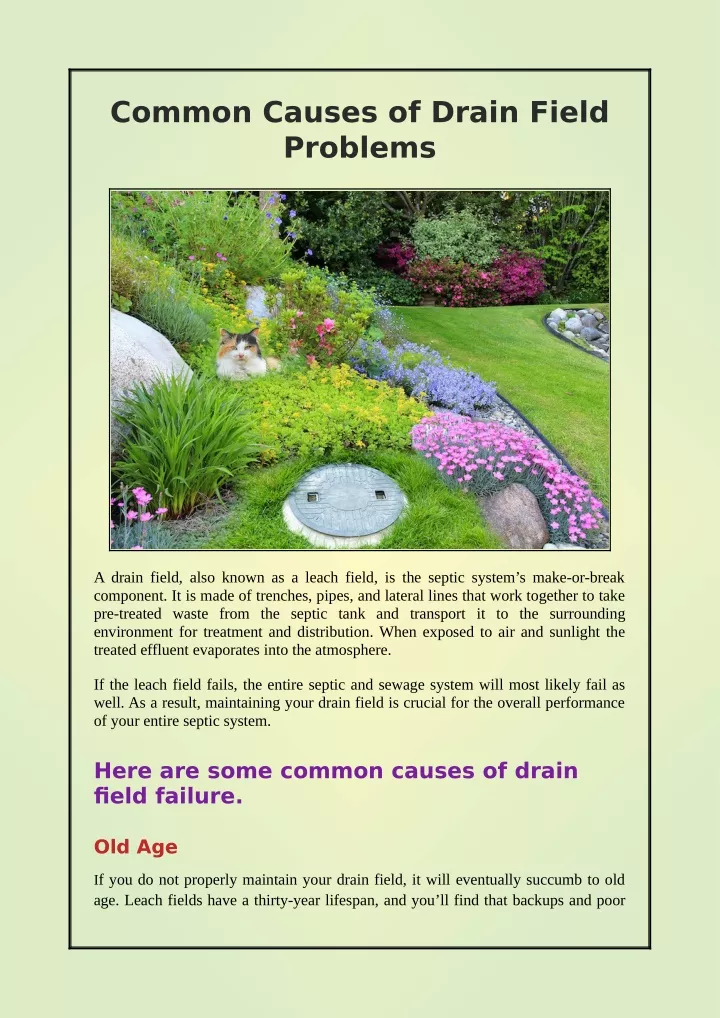 common causes of drain field problems