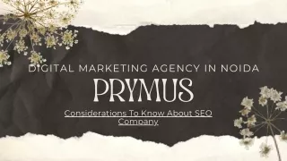 digital marketing agency in noida