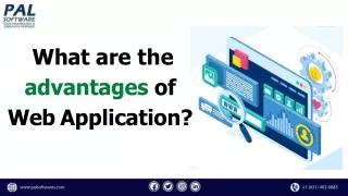 what are the advantages of web application