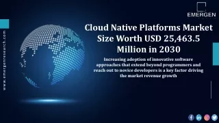 Cloud Native Platforms Market Top Companies and Growth Forecasts Research 2030
