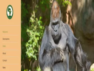Gorilla Trekking Tours Bwindi