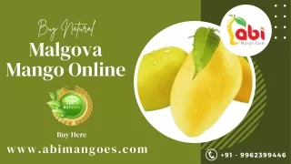 Buy Natural Malgova Mango in Namakkal