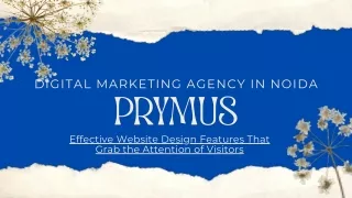 digital marketing agency in noida