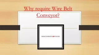 why require wire belt conveyor