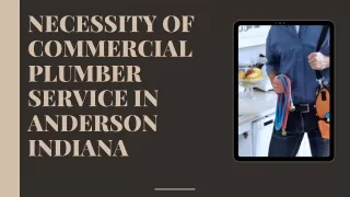 NECESSITY OF COMMERCIAL PLUMBER SERVICE IN ANDERSON INDIANA