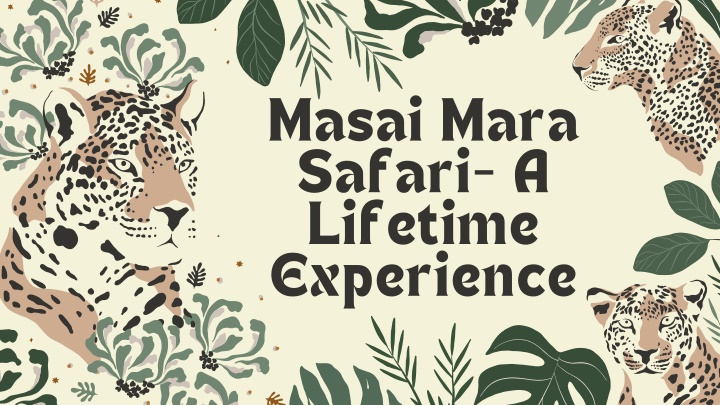 masai mara safari a lifetime experience
