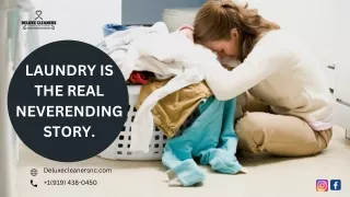 Deluxe Cleaners