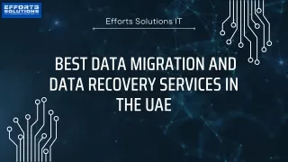 efforts solutions it