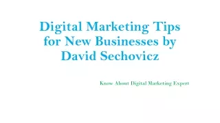 Digital Marketing Tips for New Businesses by David Sechovicz