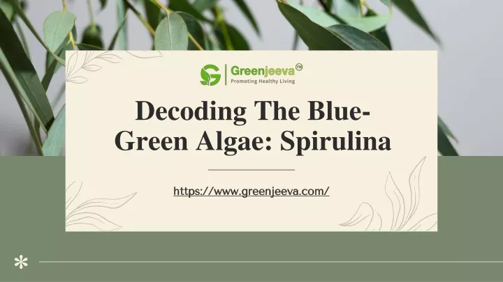 decoding the blue green algae spirulina