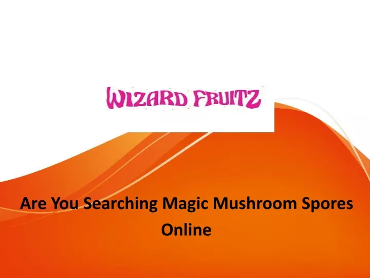 are you searching magic mushroom spores