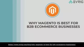 Why Magento Is Best For B2b Ecommerce Businesses