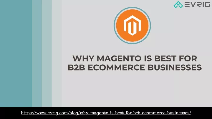 why magento is best for b2b ecommerce businesses