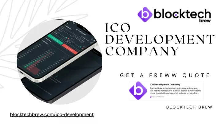 ico development company