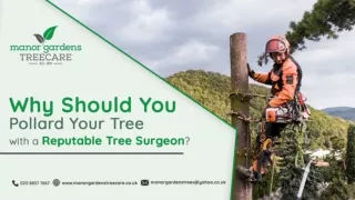 Why Should You Pollard Your Tree with a Reputable Tree Surgeon
