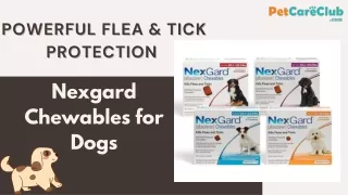 Nexgard Chewables for Dogs - Powerful Protection from Flea & Tick