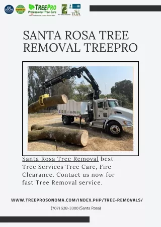 Santa Rosa Tree Removal Treepro