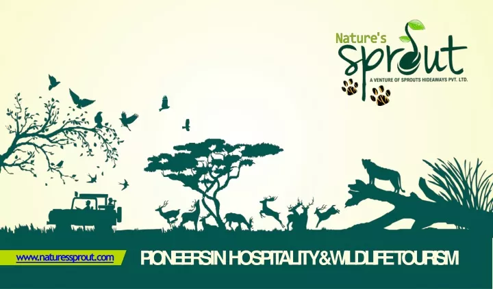pioneers in hospitality wildlife tourism