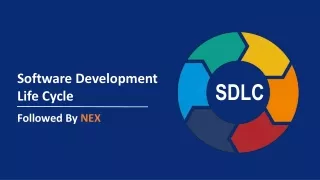 software development life cycle