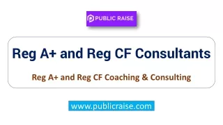 Reg A  And Reg CF Consultants