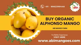 Buy Organic Alphoso Mango in Namakkal