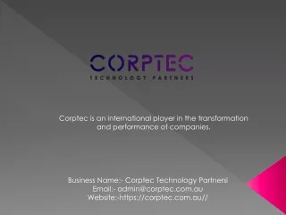 SALESFORCE CONSULTING