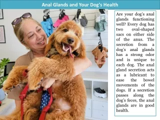 Anal Glands and Your Dog's Health