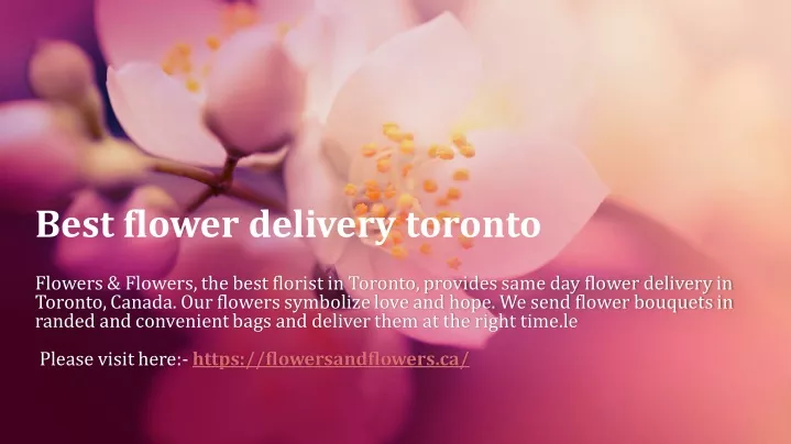 best flower delivery toronto