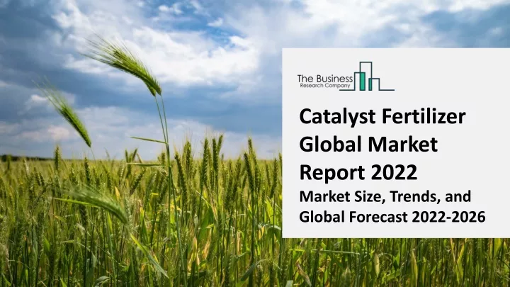 catalyst fertilizer global market report 2022
