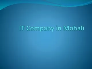 Best It company in Mohali