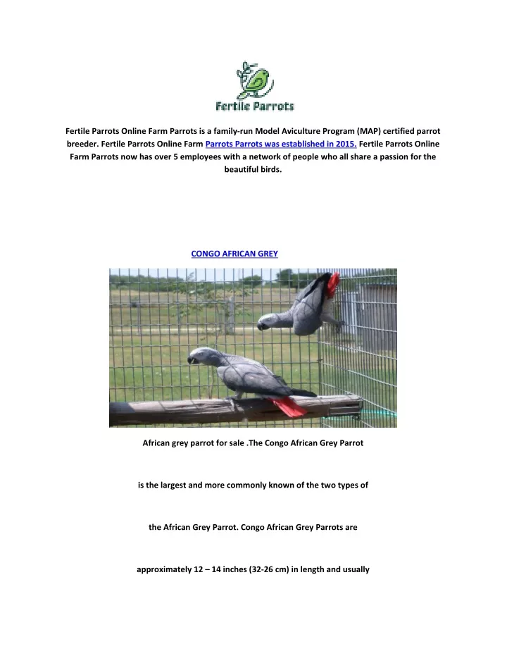 fertile parrots online farm parrots is a family