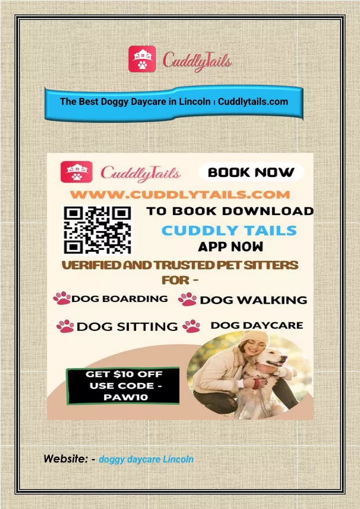 the best doggy daycare in lincoln cuddlytails com