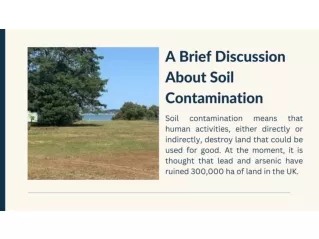 A Brief Discussion About Soil Contamination