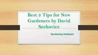 Best 3 Tips for New Gardeners by David Sechovicz